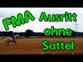 Ausritt Ohne Sattel Mit Stoppelfeldgalopp FMA