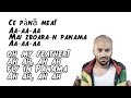 Matteo Panama English Lyrics Zile Zile Mile Mile