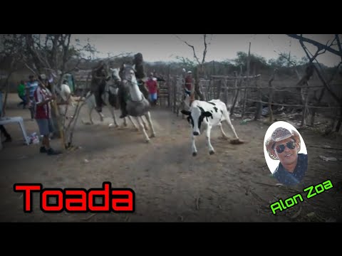 Toada vaca chuvisco de Sergipe cantada por Alon zoa