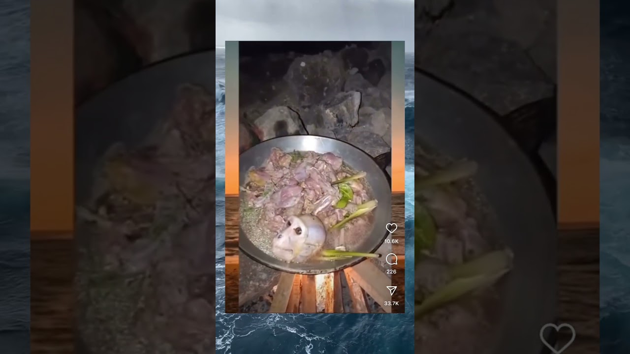 Poor Monkey🥲🐒 #shorts #memes