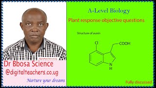 Plant response objective question – A level biology