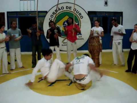 CDO Mangalot 2008 Cm Coruja, Lobinho, Inst Grazi e Prof Buiu