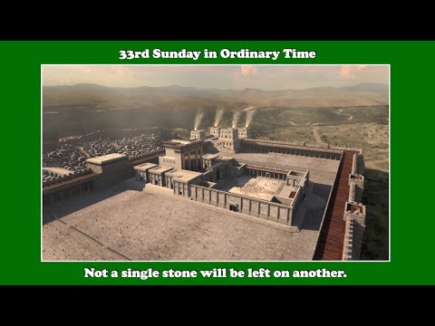 Not a hair of your head will be lost.   Homily for 33rd Sunday in Ordinary Time, Year C.