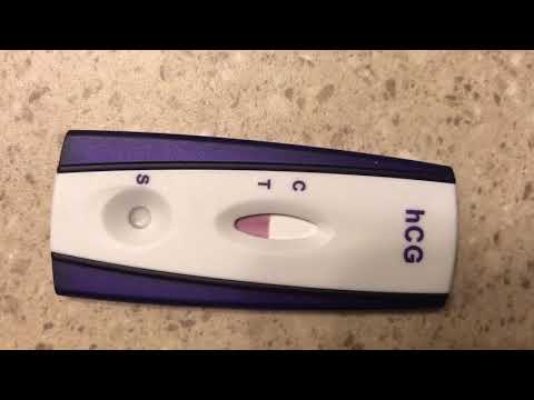 Live pregnancy test