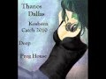 Kosheen - Catch 2010 (T-Dallas Deep Progressive ...