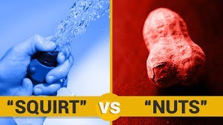 SQUIRT VS NUTS - Google Trends Show