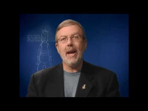 Walt Disney Treasures: The Complete Goofy Disc One Opening and Menu Walkthrough