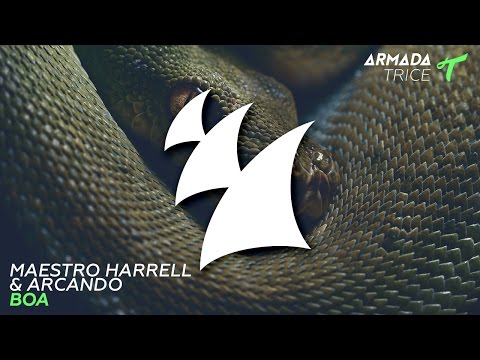 Maestro Harrell & Arcando - Boa