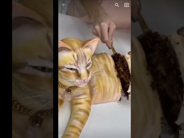 Vídeo relacionado con YskerrigToy Figuras de Gatos, 6 Piezas Gato Decoración de Tartas, Cat Cake Decoración, Mini Gato Figure para Sala Estar Dormitorio Oficina