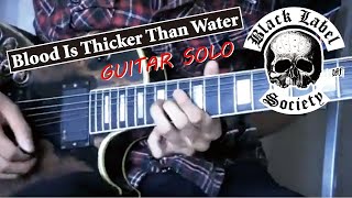 Black Label Society - Blood Is Thicker Than Water Solo