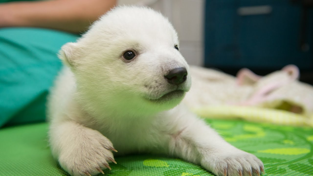 Nora's second chance