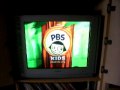 Pbskids Bird Bumper