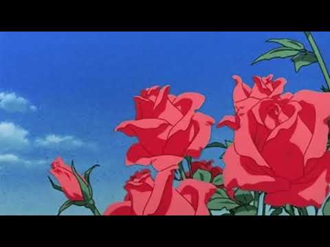 Sombras nada mas - Rocio Durcal