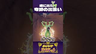 やっと、運を運んでくれました！【ポケモンSV】