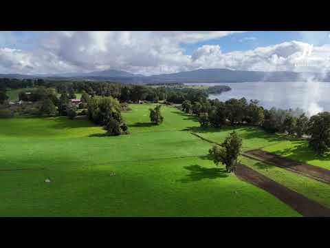 Campo-Región de los lagos -Región de los Ríos.