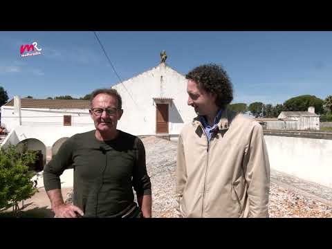 CRISPIANO (TA) - ALLA SCOPERTA DELLA CONTRADA VALLENZA, TRA LE BELLEZZE DEL NOSTRO TERRITORIO.