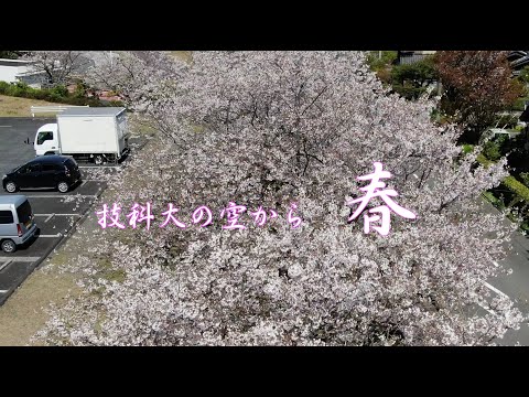技科大の空から  －春－