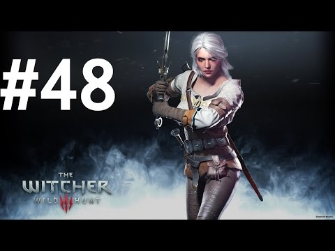 Witcher 3: Wild Hunt - Let's Play Part 48: Radovid [Death March] [PC]