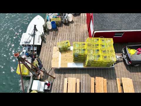 Mission Trailers Deckover Utility Trailers from ALCOM