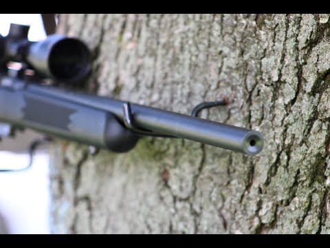 Savage 93 Range and Ammo Test .22 WMR