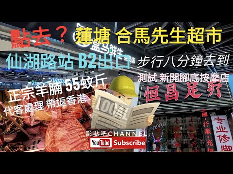蓮塘口岸地鐵站