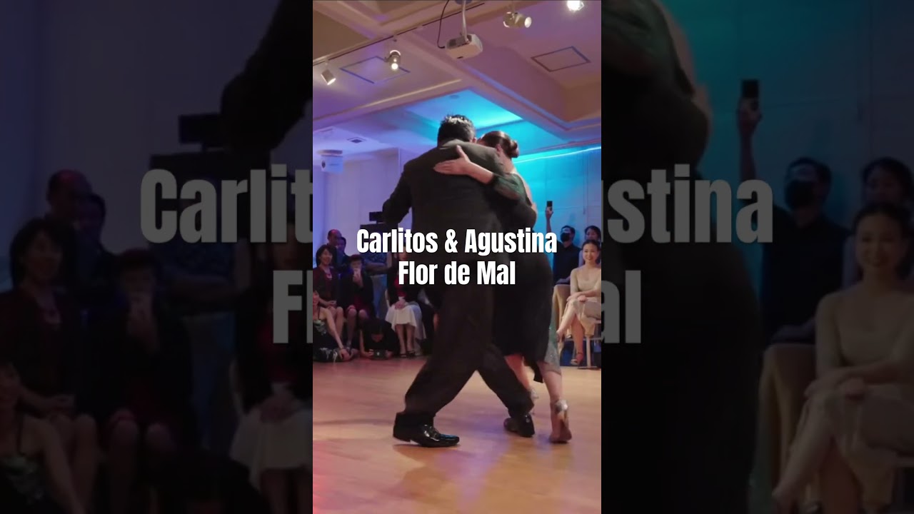 Carlitos & Agustina Flor de Mal Juan D’Arienzo #アルゼンチンタンゴ #argentinetango #shorts #tango #탱고 #vals