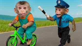 Bingo | Baby Monkey Nursery Rhymes & Kids Songs