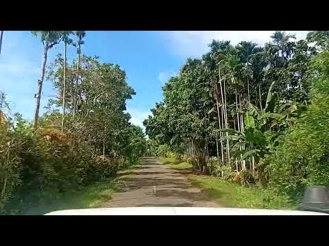 Buluminski Highway, New Ireland Province, Papua New Guinea 🇵🇬