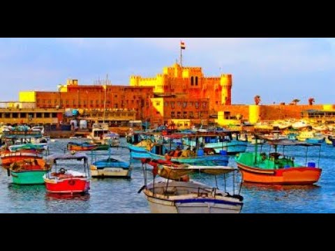 Video Amar Ya Alexandria EA2