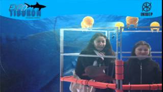 DIA 2 Expo Tiburon180