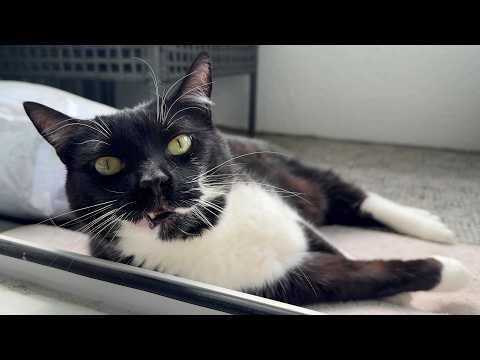YouTube 썸네일