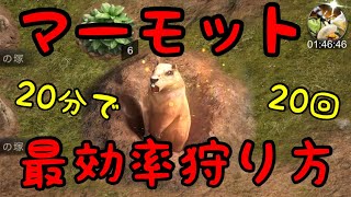 『ザアンツ』マーモットを20分で20回終わらせよう！
