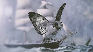 Heaven&#39;s Calling - River Wild Collective