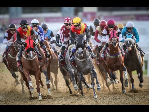 20th Race Meeting of Season 2018/2019