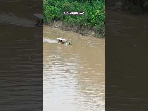 RIO MURÚ EM TARAUACÁ NO ACRE #SHORTS