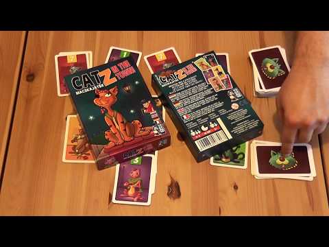 Catz in the Town - Macskajáték