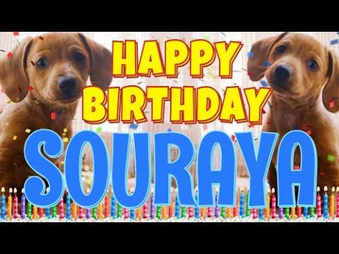 Happy Birthday Souraya! ( Funny Talking Dogs ) What Is Free On My Birthday