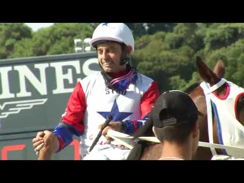 230304 c01 B Paiva Irisarri/ ELECTRA FEVER