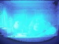 Monster S Inc 2001 Trailer VHS Capture