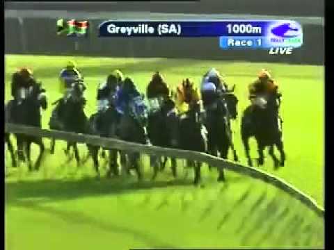2012-01-10 Greyville - race 1
