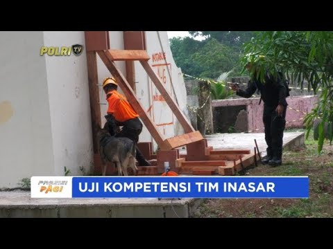 K-9 SAR DITPOLSATWA KORSABHARA BAHARKAM POLRI LAKSANAKAN LATIHAN TE III INASAR MENUJU HEAVY CLASS