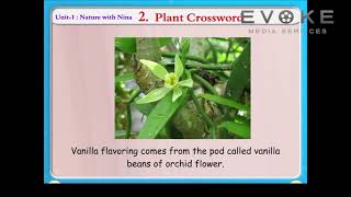 Plant Crossword || Information