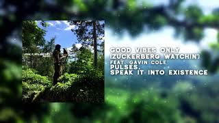 Good Vibes Only (Zuckerberg Watchin') Music Video