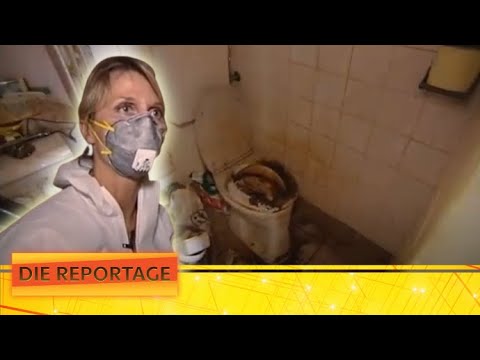 Leichen, Dreck und Maden! Die Tatortreiniger 💀! | 2/2 | Die Reportage | ATV