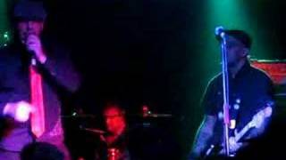 Street dogs - In defense of dorchester