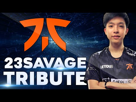 23savage out of Team Fnatic - BEST Plays Tribute Dota 2