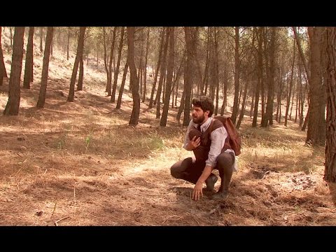 Puente Viejo C1144 - Un árbol cae encima de Bosco y Beltrán