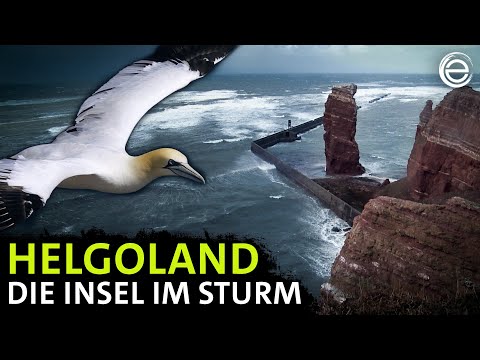 Helgoland ‒ Die Insel im Sturm | Erlebnis Erde