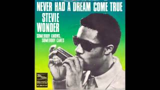 Stevie Wonder Never Had A Dream Come True