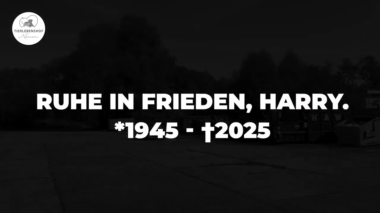 Abschied von unserem Stifter Harry  *1945 – †2025